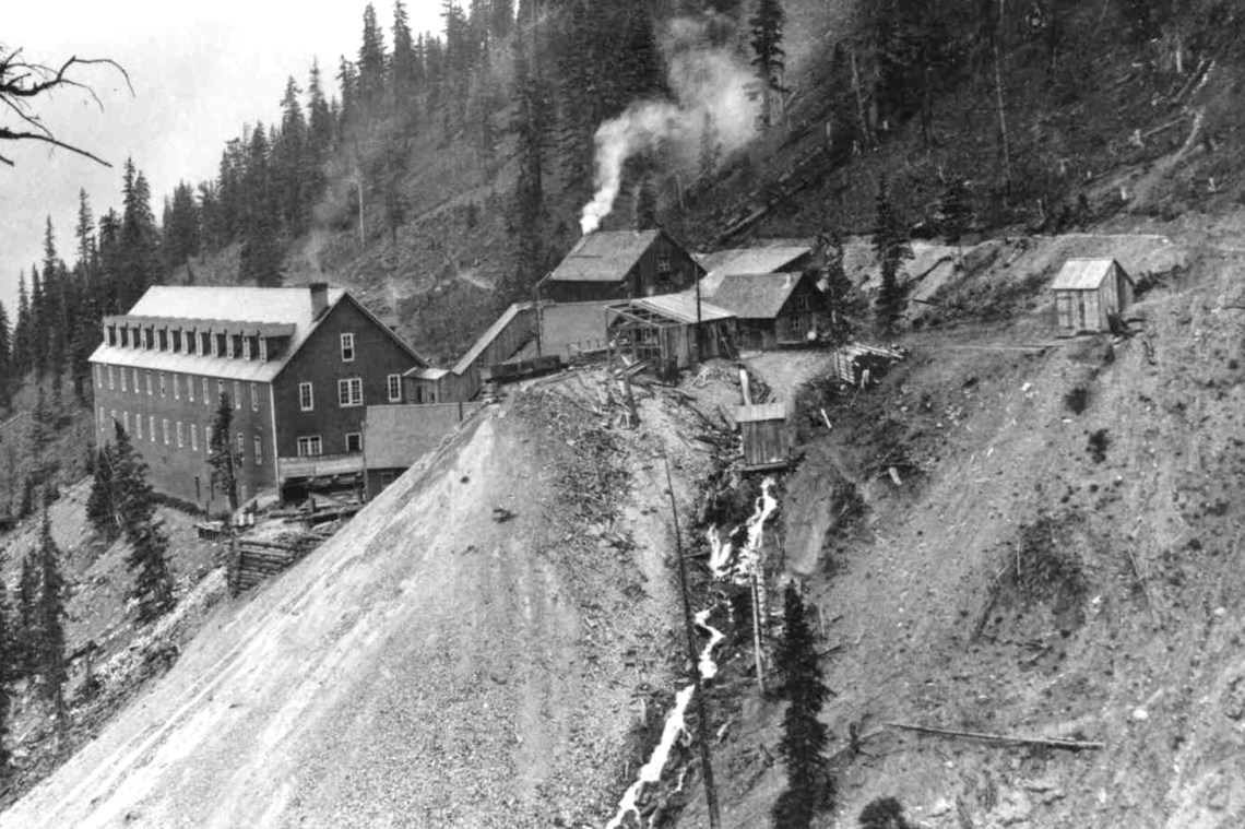 GoldKingPhotowDrainage