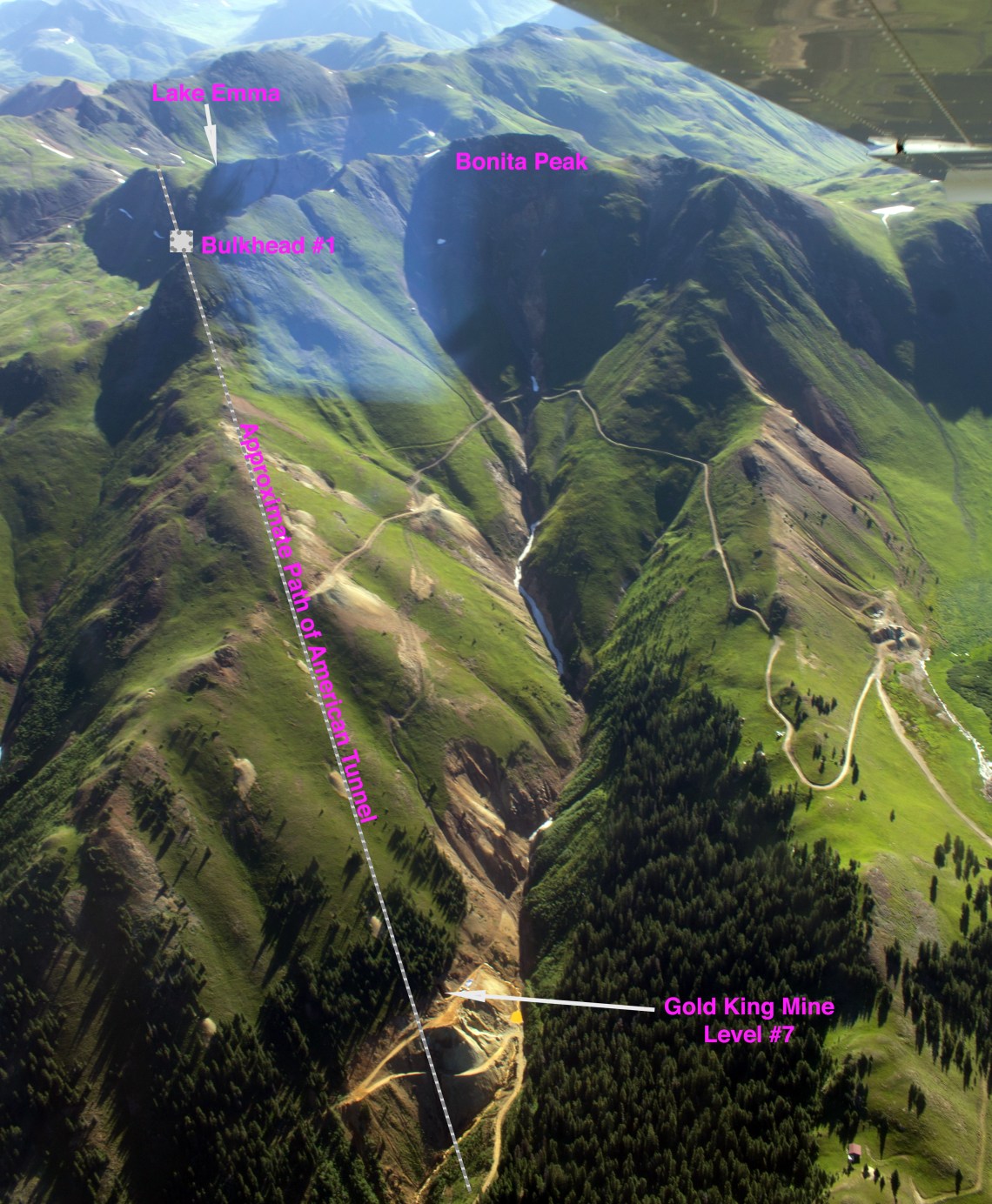 GoldKingVerticalTEXT