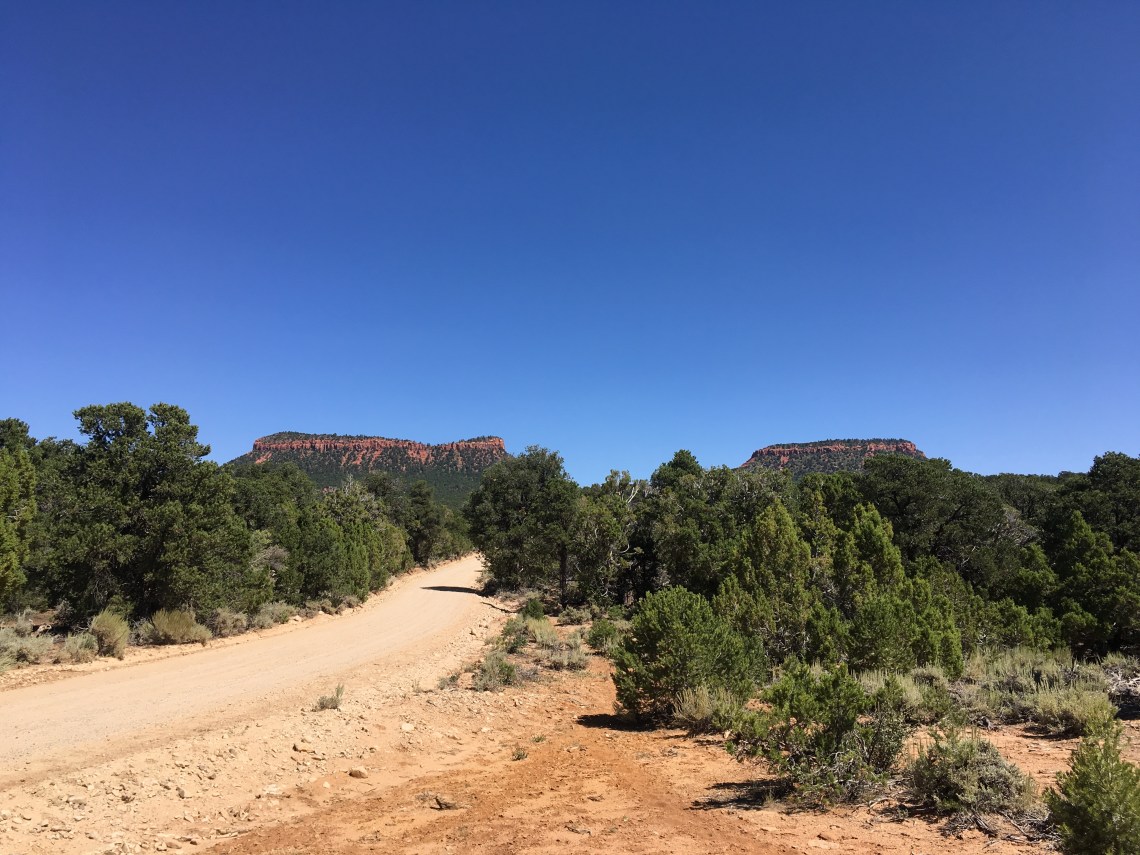 E77CF12C-C29F-457B-AF60-C28B7859A3BC